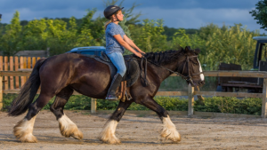 learning to ride